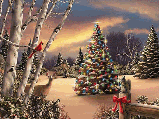 Middelgrote kerstanimatie van een kerstboom - Besneeuwde kerstboom met gekleurde kerstverlichting in de sneeuw met links een rode vogel in de berkenbomen