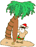 Mini animatie van een kerstman - De Kerstman staat met zijn surfplank bij een palmboom