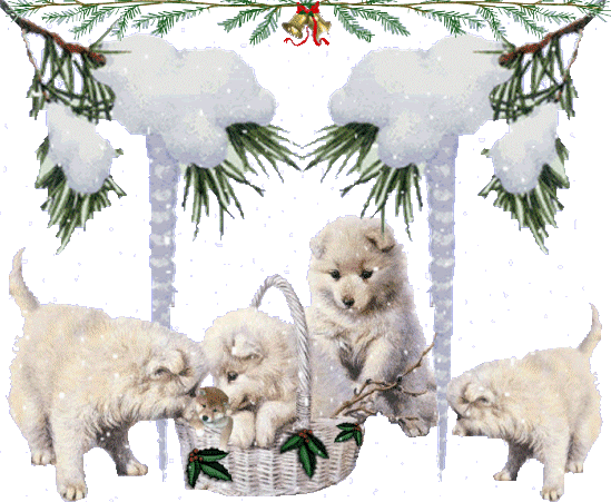 Grote animatie van sneeuw - Honden rondom een mand en ijspegels aan de takken met sneeuw