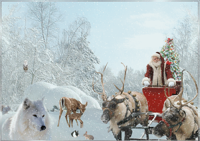 Grote animatie van een rendier - Santa Claus met zijn arrenslee en rendieren in de sneeuw waar ook een poolhond, een rendier met haar kalf en konijnen rondlopen