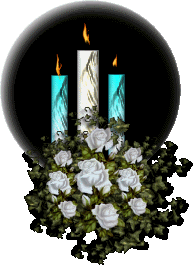 Middelgrote kerstmis animatie van een kerstkaars - Drie brandende witte en blauwe kaarsen in een globe met daarvoor blauwe rozen