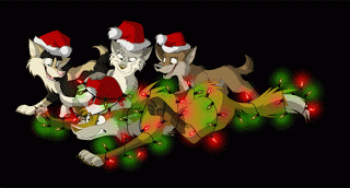 Middelgrote animatie van een kerstdier - Vier honden waarvan er een verstrikt geraakt is in de kerstverlichting