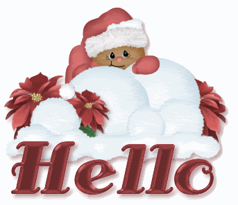 Grote kerst animatie van een kerstwens - Hello, de beer gooit en sneeuwbal en wenst je Merry Christmas