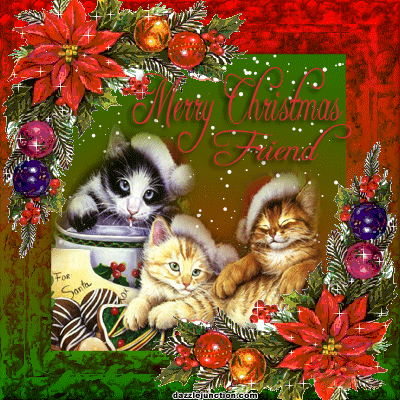 Grote kerstanimatie van een kerstdier - Merry Christmas Friend met drie katten en twee rode kerststerren