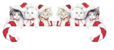 Middelgrote animatie van een kerstdier - Zes jonge katjes met kerstmutsen