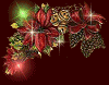 Mini kerstanimatie - Rode kerststerren met gekleurde sterretjes