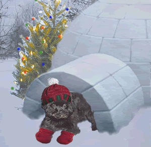 Middelgrote animatie van een kerstdier - Hondje zit in de ingang van een iglo met daarnaast een kerstboom met gekleurde kerstverlichting