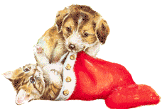 Kleine animatie van een kerstsok - Katje en hondje spelen met een kerstmuts