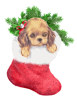 Middelgrote animatie van een kerstsok - Hondje in een rode kerstsok met glitter en kerstgroen