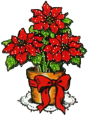 Kleine kerstanimatie - Bloempot met rode kerststerren en een rode strik