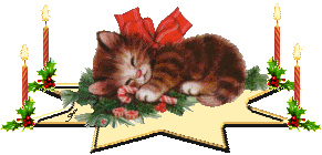 Kleine animatie van een kerstdier - Katje dat ligt te slapen op een ster met vier brandende rode kaarsen