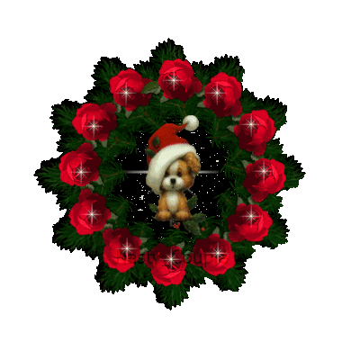 Grote kerstanimatie van een kerstdier - Hondje met een kerstmuts temidden van een kerstkrans met rode rozen en witte sterren