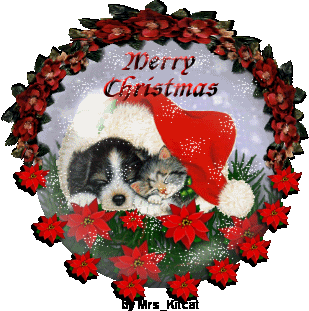 Middelgrote animatie van een kerstwens - Merry Christmas met een krans van rode kerststerren en waarbinnen een hond en een katje onder een kerstmuts liggen te slapen
