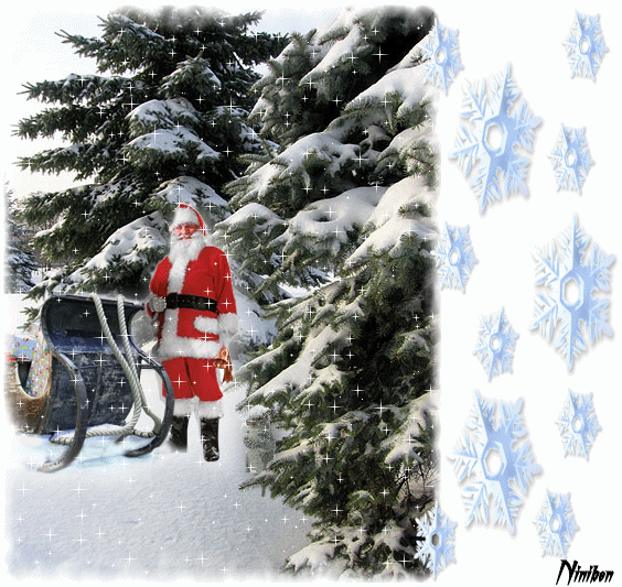 Grote kerstanimatie van een kerstman - De Kerstman staat met zijn slee in het sparrenbos met witte sterretjes
