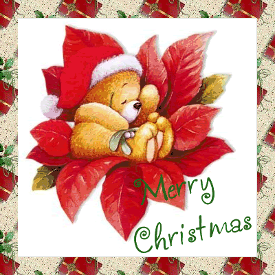 Grote kerstanimatie van een kerstdier - Merry Christmas met een beer te zit te slapen in een rode kerstster