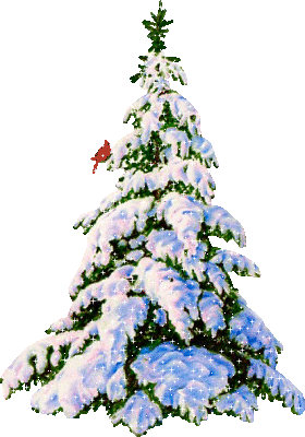 Grote kerstanimatie van een kerstboom - Besneeuwde spar met een goudvink