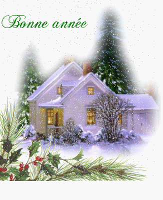 Grote kerstanimatie van een kersthuis - Huis in de sneeuw