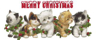 Kleine animatie van een kerstwens - Merry Christmas met vijf katjes