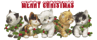 Kleine animatie van een kerstwens - Merry Christmas met vijf katjes met hulst en rode bessen
