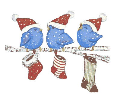 Grote animatie van een kerstsok - Drie blauwe vogeltjes met kerstmutsen zitten op een tak waaraan drie kerstsokken hangen