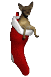 Mini animatie van een kerstsok - Hondje in een rode kerstsok