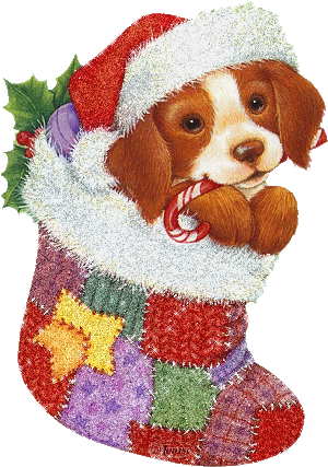 Grote animatie van een kerstsok - Hondje met kerstmuts in een grote kerstsok