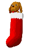 Mini animatie van een kerstsok - Hondje in een rode kerstsok