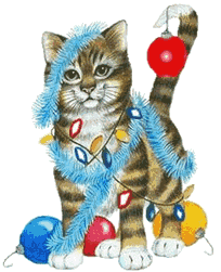Middelgrote animatie van kerstverlichting - Kat die verstrikt geraakt is in de kerstslingers en de kerstverlichting